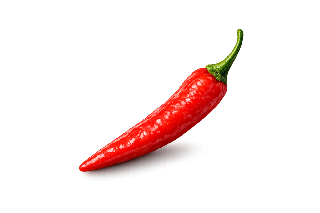 Home chatgpt image jan 23, 2026, 06 35 21 am